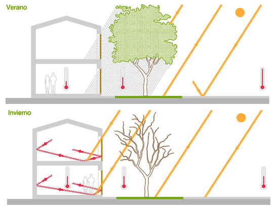 casa_ecologica_vegetacion_arboles_bioclimatismo_02
